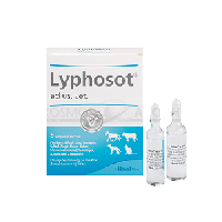 LYPHOSOT ad us.vet.Ampullen