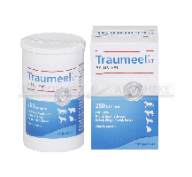 TRAUMEEL LT ad us.vet.Tabletten